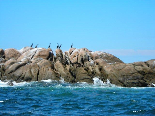 dscn0755