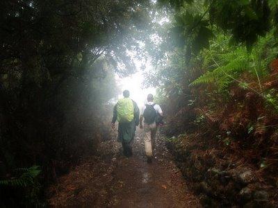 6. centro arqueolgico de la zarza barranco de la magdalena don pedro garafa