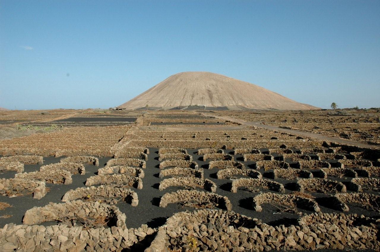 lanzarote -cultivos de vino