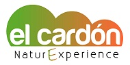 logo e